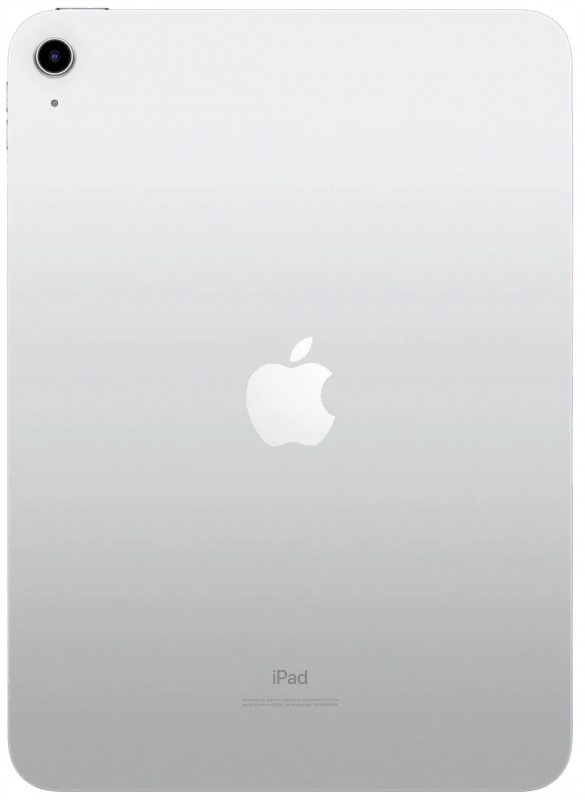 Apple iPad (2022) LTE 256gb Silver
